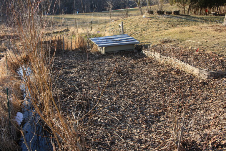 Marsh garden in early spring with duck hutch and wattle fence raised bed