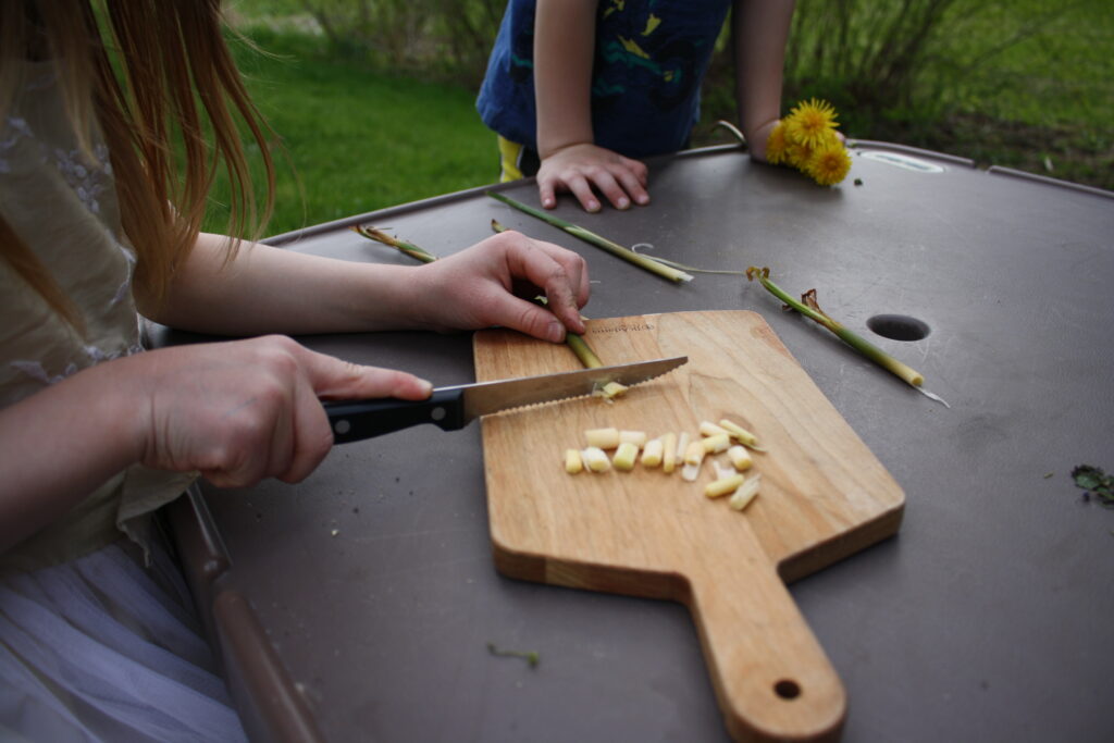 children cutting up wild edibles after foraging