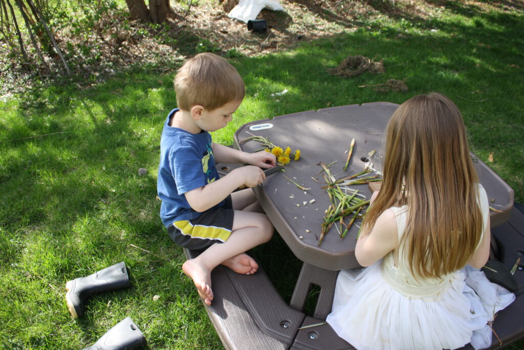 children cutting up freshly foraged wild edibles