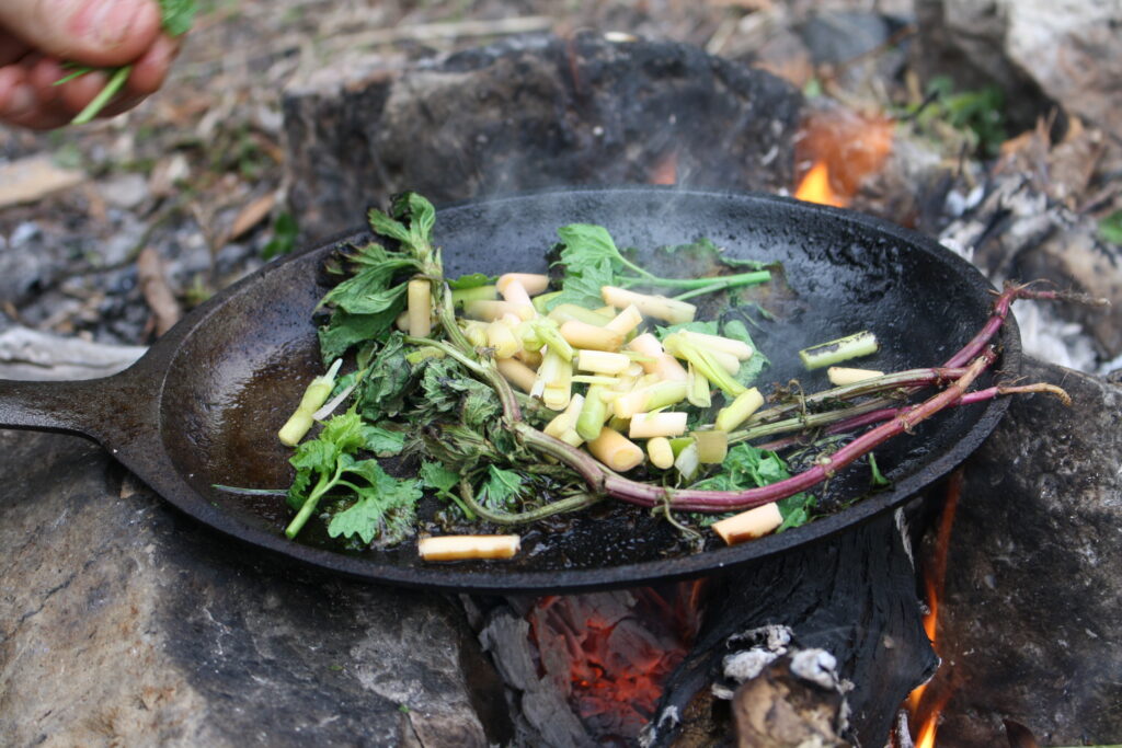 frying up foraged spring edibles on a campfire