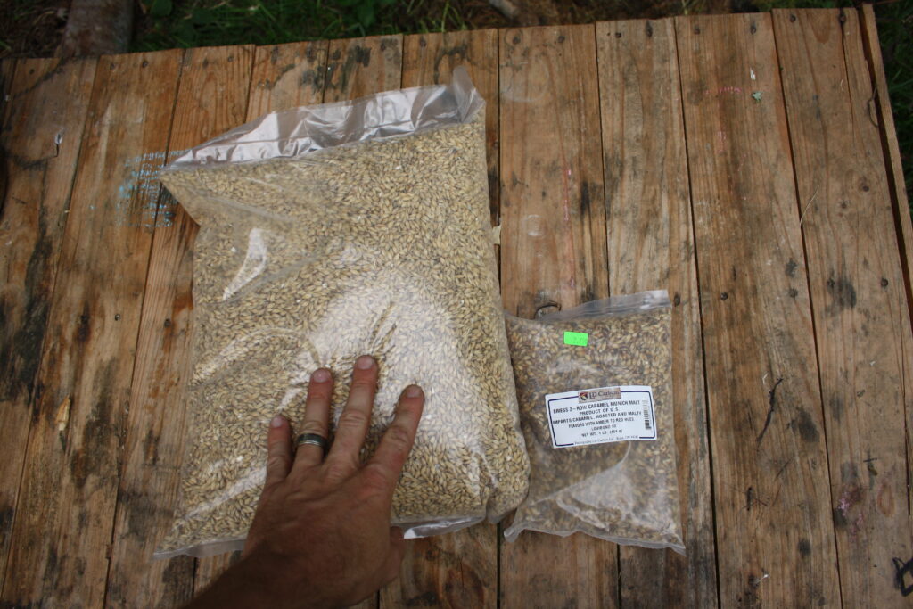 Beer malt in plastic bags, bought from a brewing supply shop