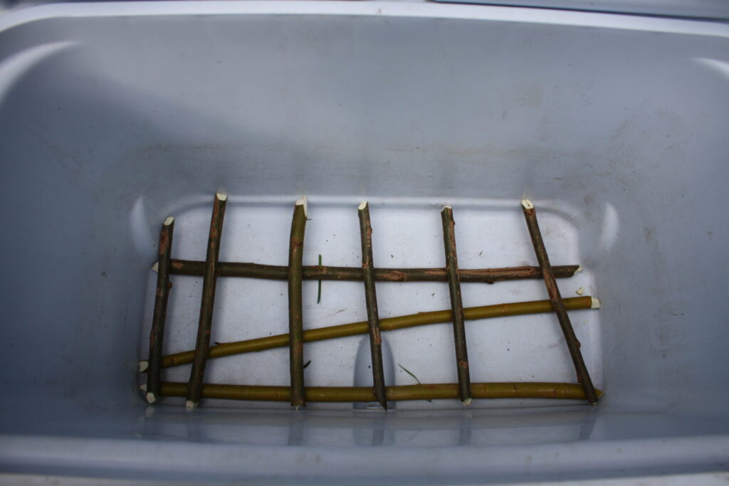 sticks in the bottom of a cooler