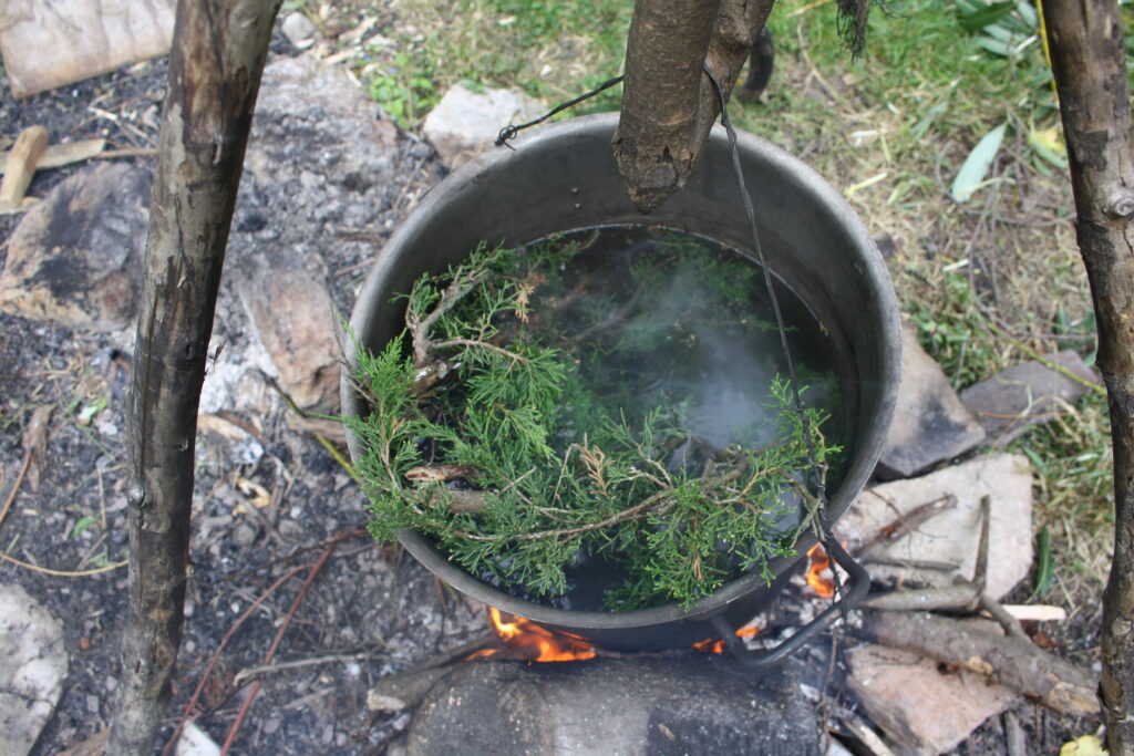 juniper branches steeping in hot water to make Nordic ale