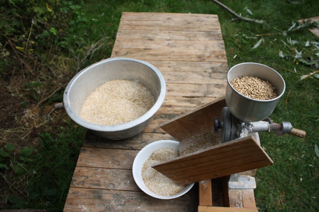 grain mill grinding malt to make beer