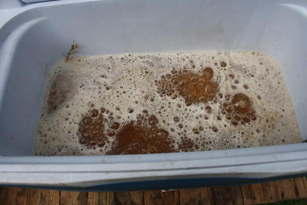 mashing malt in a cooler