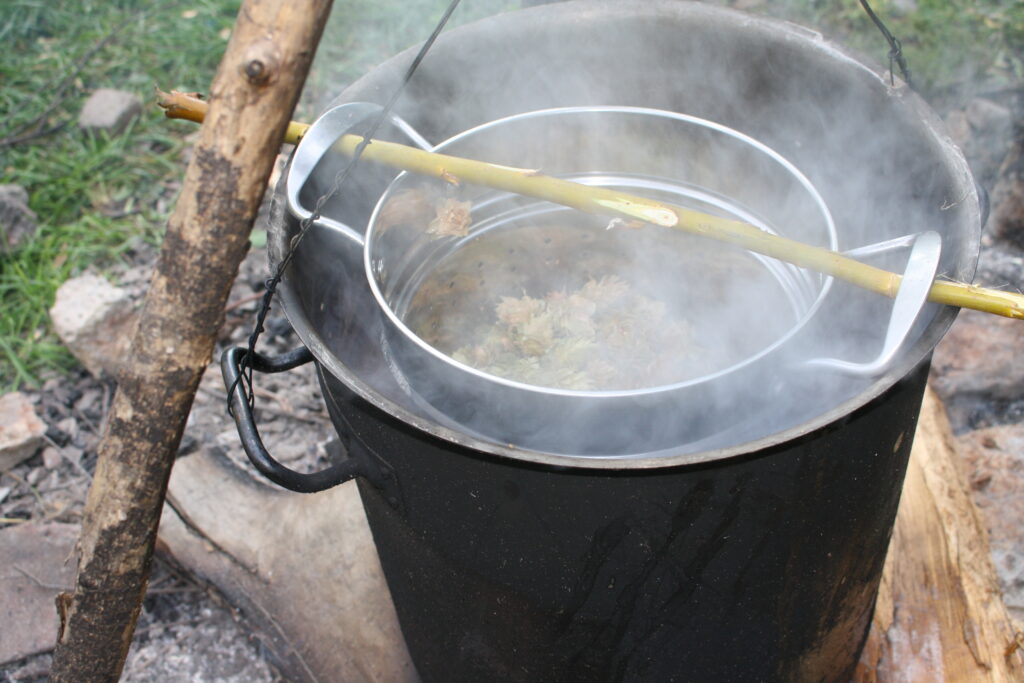 hops steeping in wort