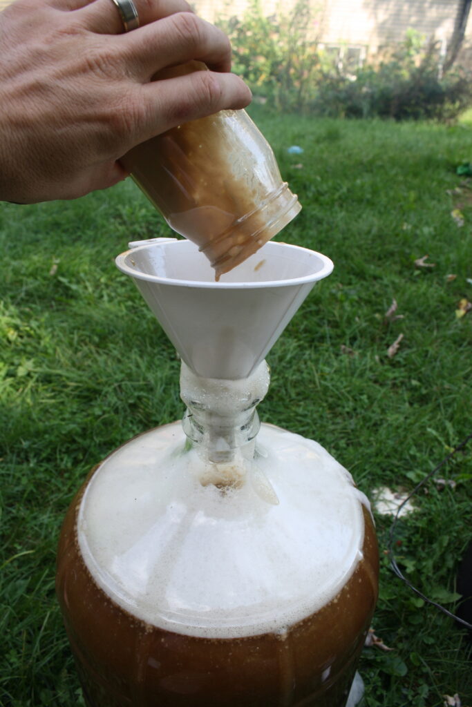 adding kveik beer ale yeast to a batch of wort in a glass carboy with a funnel.