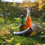 bottles of beer with drinking horn and mug