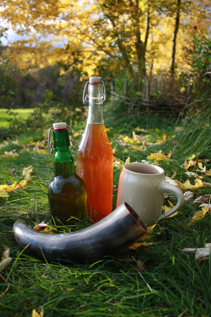 two beer bottles with a mug and drinking horn sitting on the grass