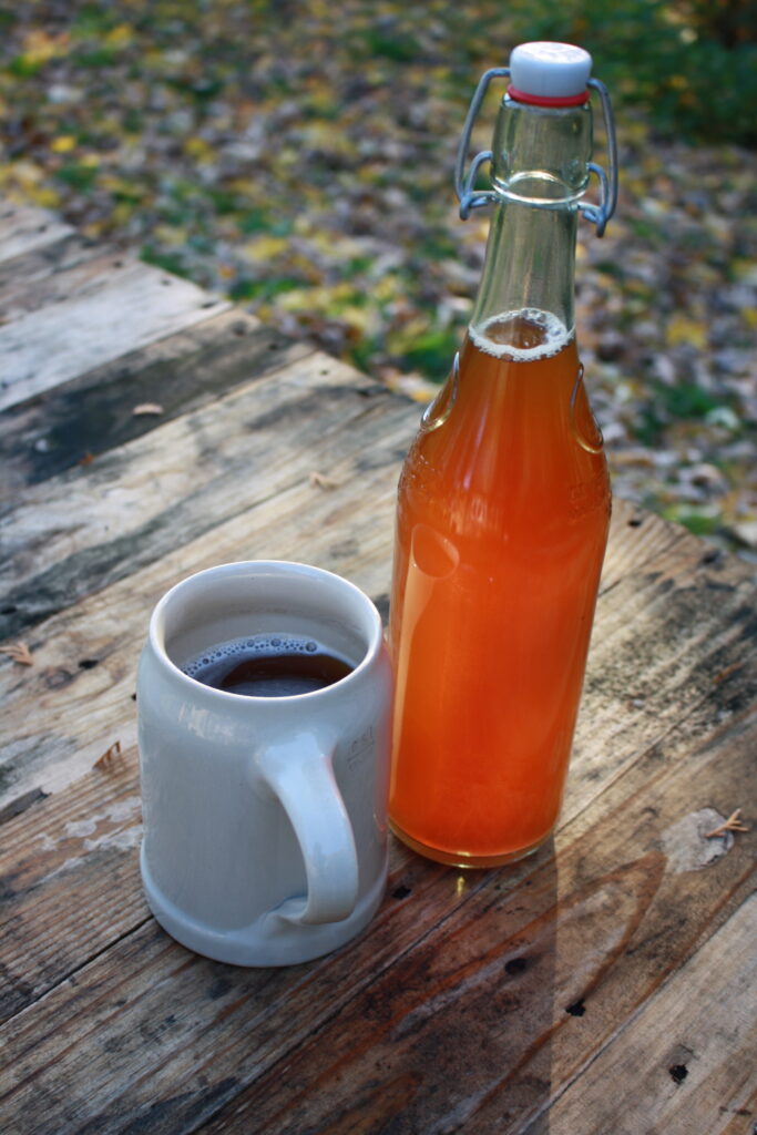 Home-made beer in bottle and mug