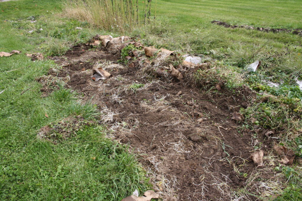 garden bed being tilled up