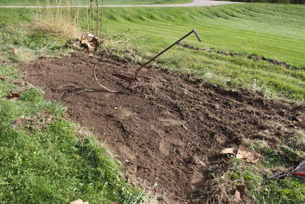 garden bed being tilled up with a hand cultivator