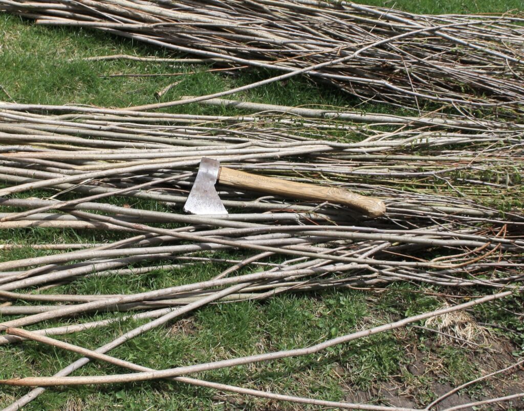 bundles of cut willow withes with an axe sitting on top