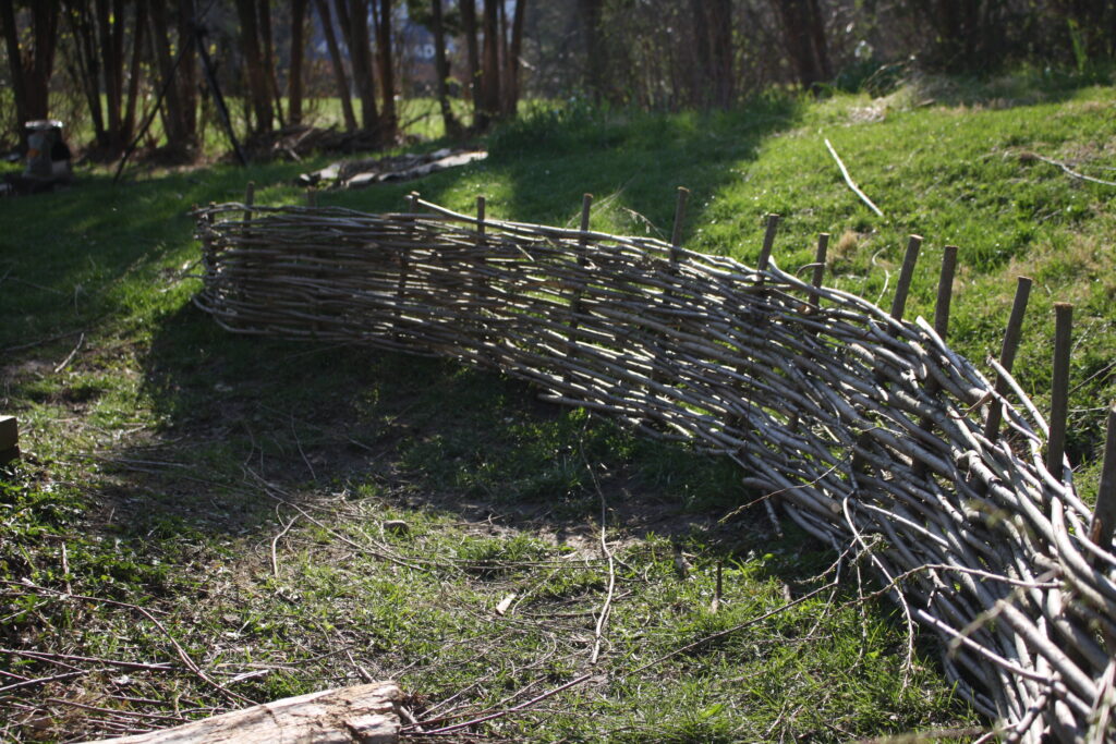 The finished wattle garden fence