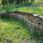 wattle fence garden bed with strawberries growing in it.