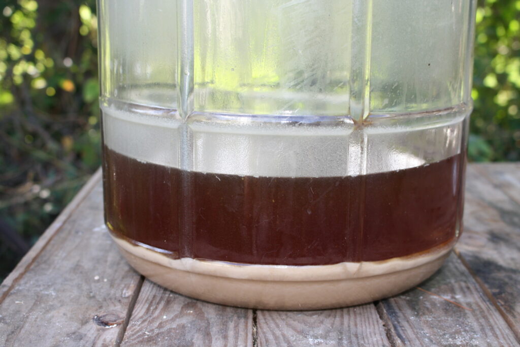 close-up of a glass carboy showing the yeast sludge at the bottom.