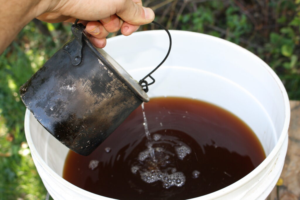 hand pouring sugar water into a pail of beer