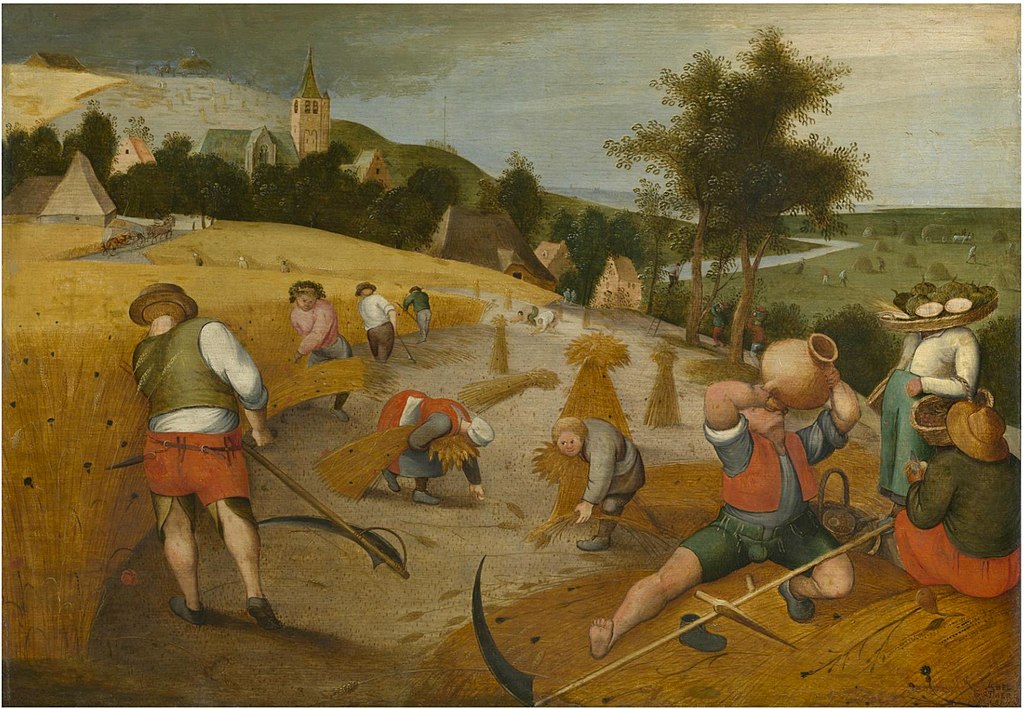 Medieval farmers reaping grain and drinking from jars