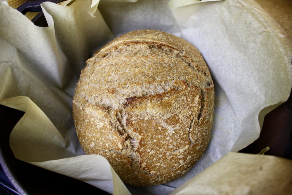 fully cooked loaf of sourdough bread in a dutch oven