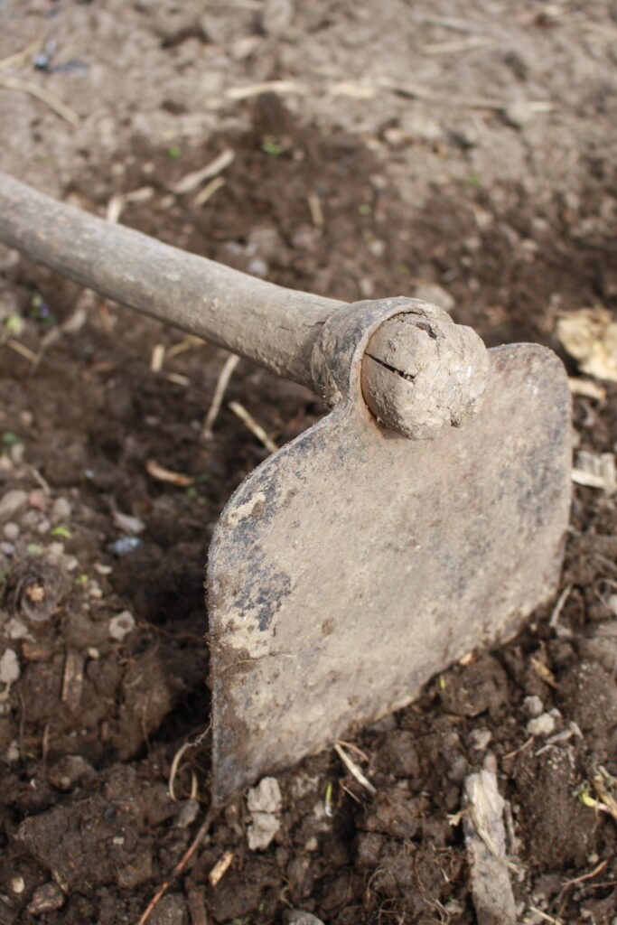 close up photo of a broad-hoe blade resting on bare soil