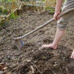 photo of the bottom of half of a barefooted man standing on bare soil using a broad-hoe