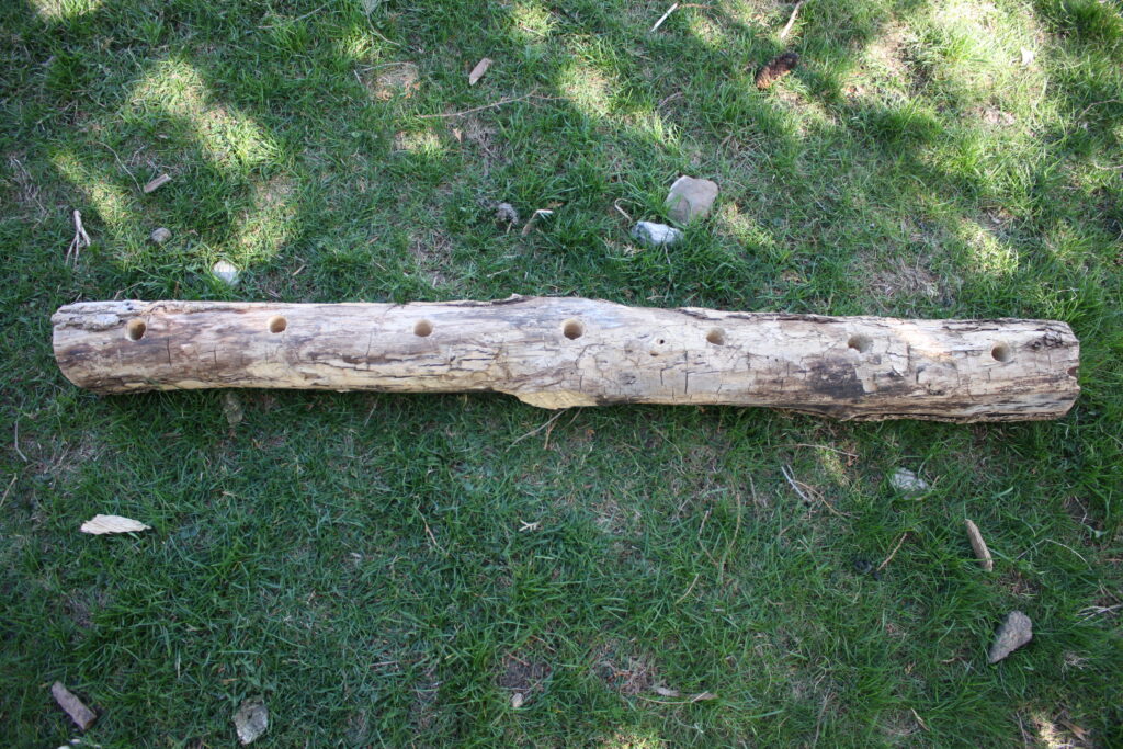 A log with seven holes bored in even spaces along the length of it.