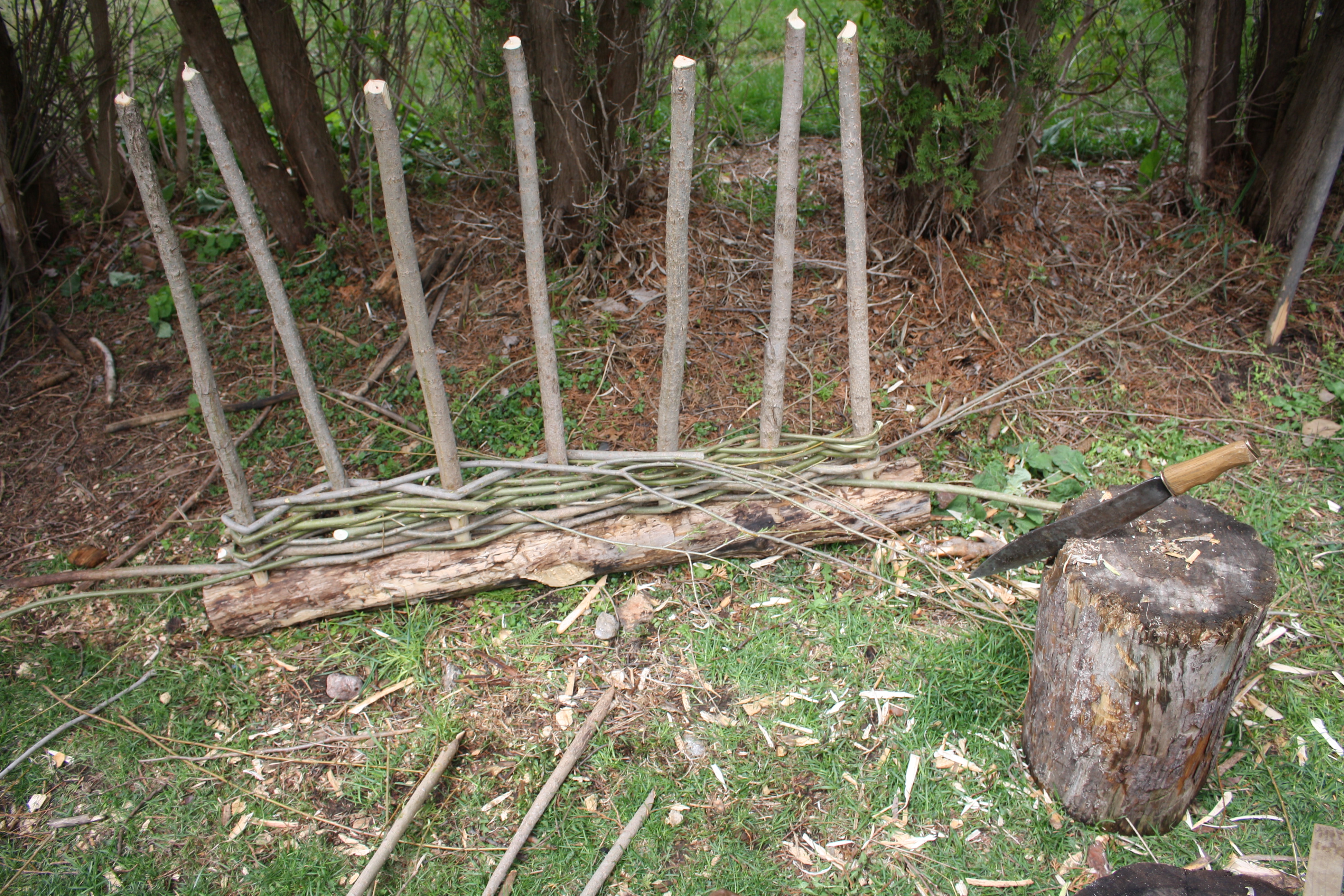 a hurdle being woven on a log form with a stump and bush-knife in the fore-ground