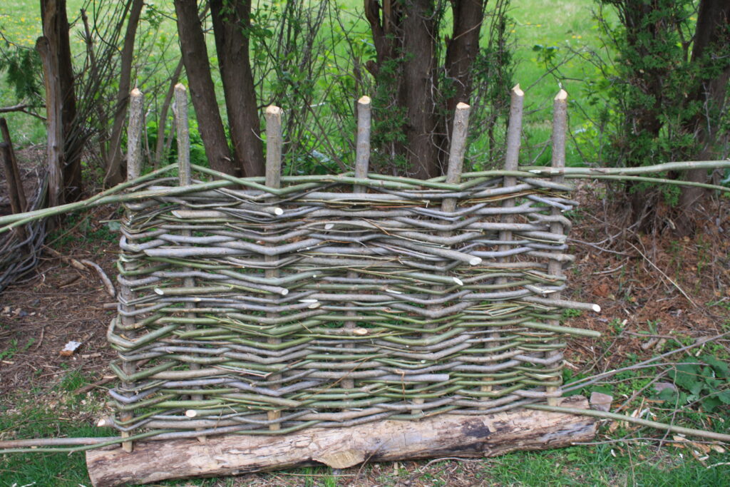 a nearly-finished hurdle with long ends sticking out on the top and the bottom