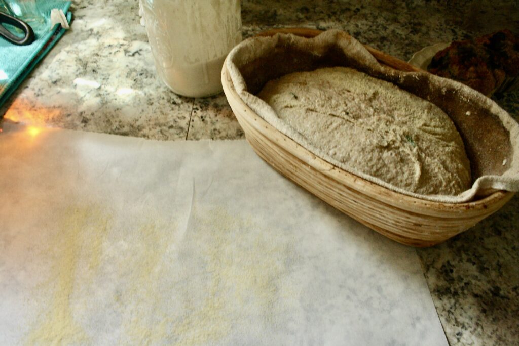 unbaked sourdough loaf on counter next to floured parchment paper