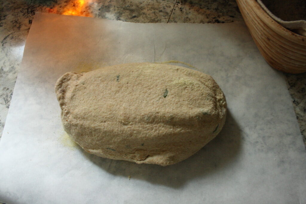 unbaked loaf of sourdough with herbs and caramelized onions sitting on parchment paper