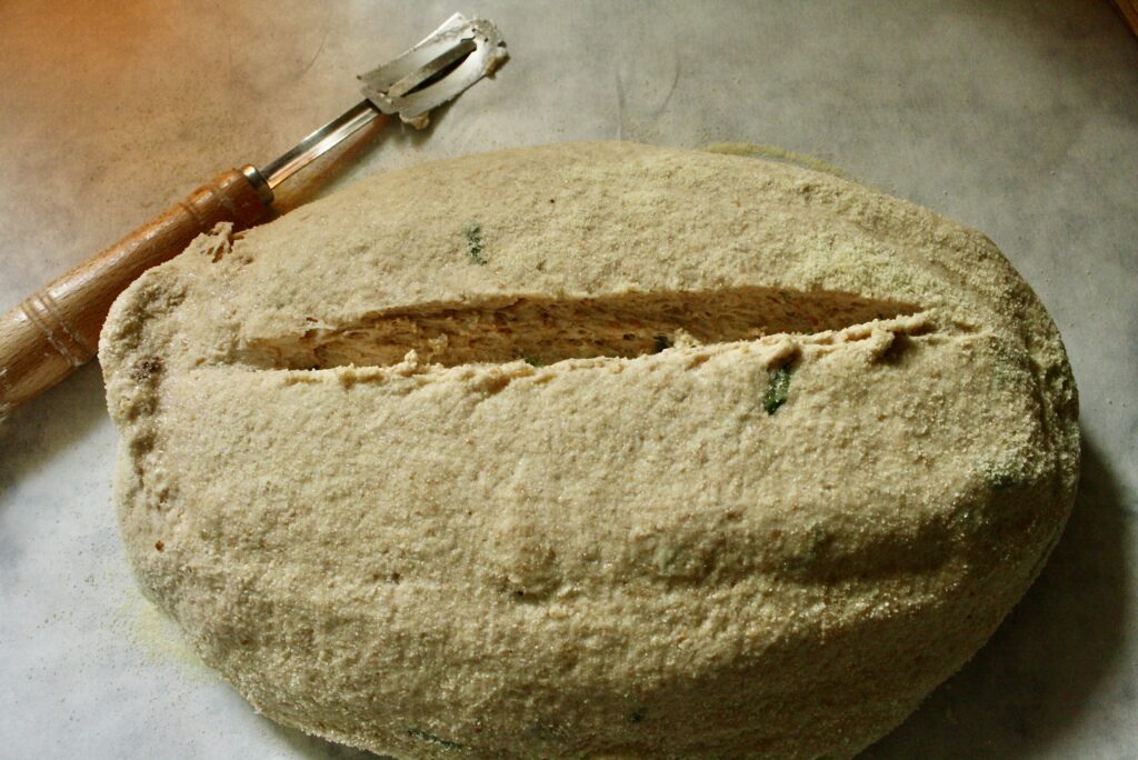 unbaked loaf of scored sourdough bread