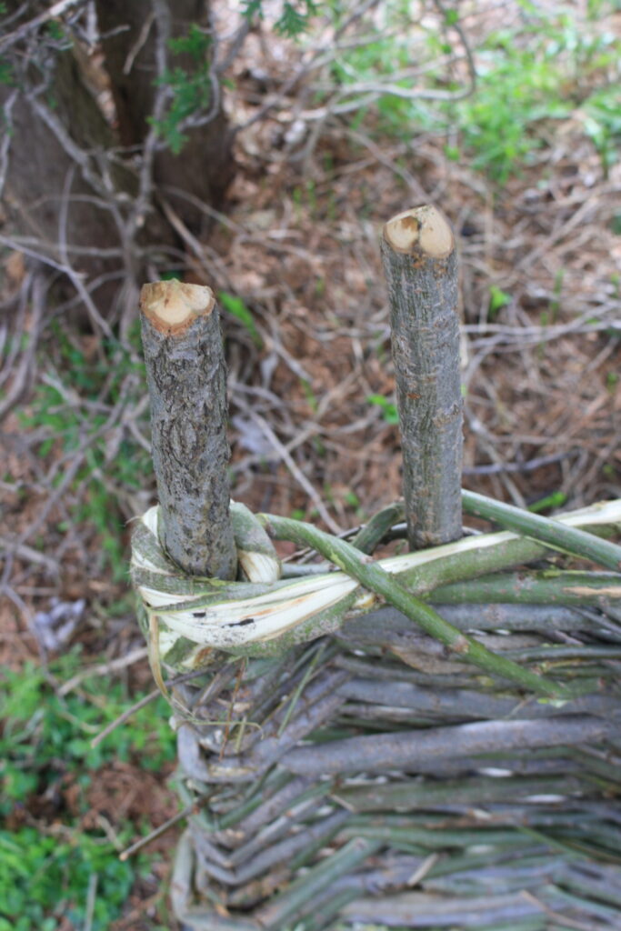 close-up of the top of a wattle hurdle showing the withes twisted and tucked into the weave.