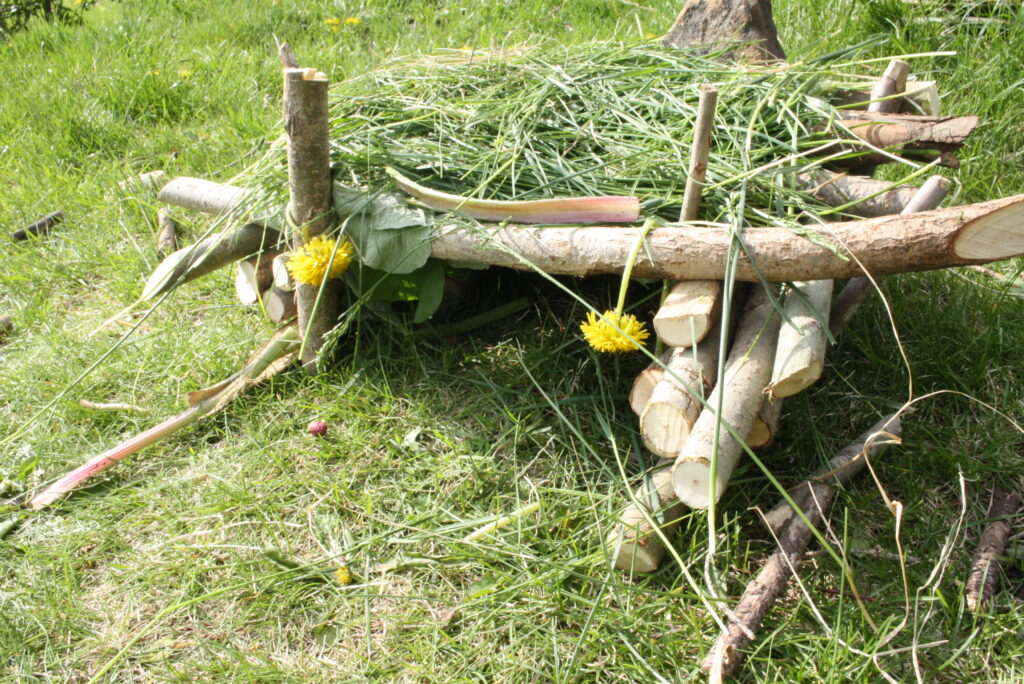 tiny house made of sticks and dandelions 