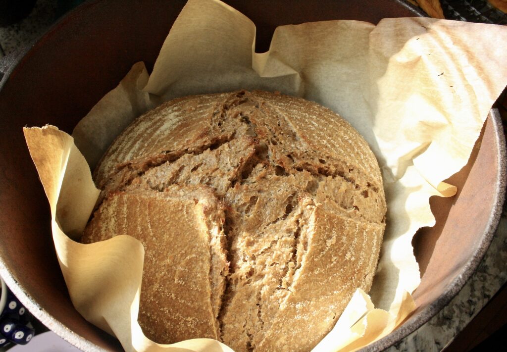 freshly baked sourdough with herbs and caramelized onions in a dutch oven