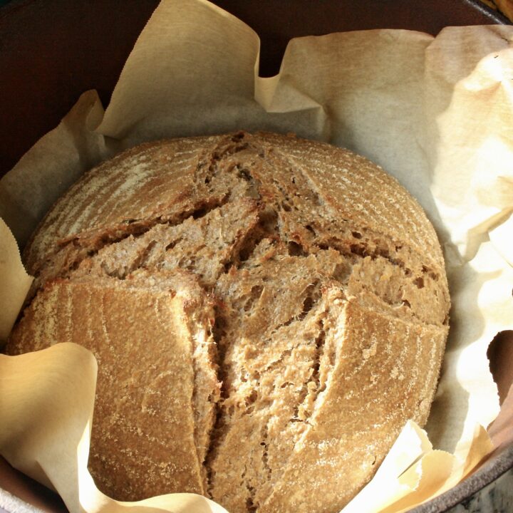 freshly baked herb and caramelized onion sourdough in a dutch oven