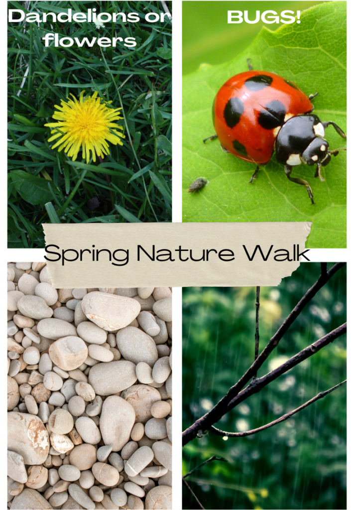 nature walk activities for kids