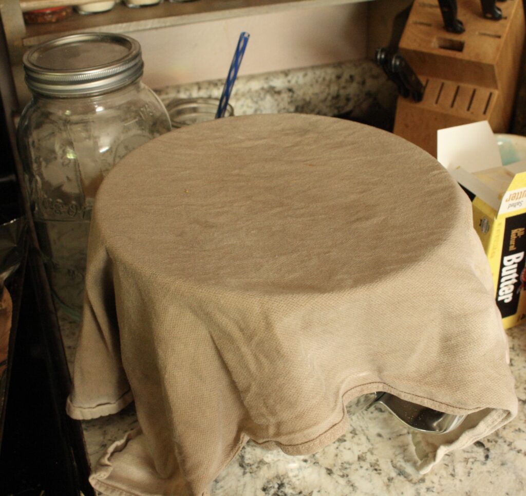 sourdough fermenting in a bowl covered with a damp cloth