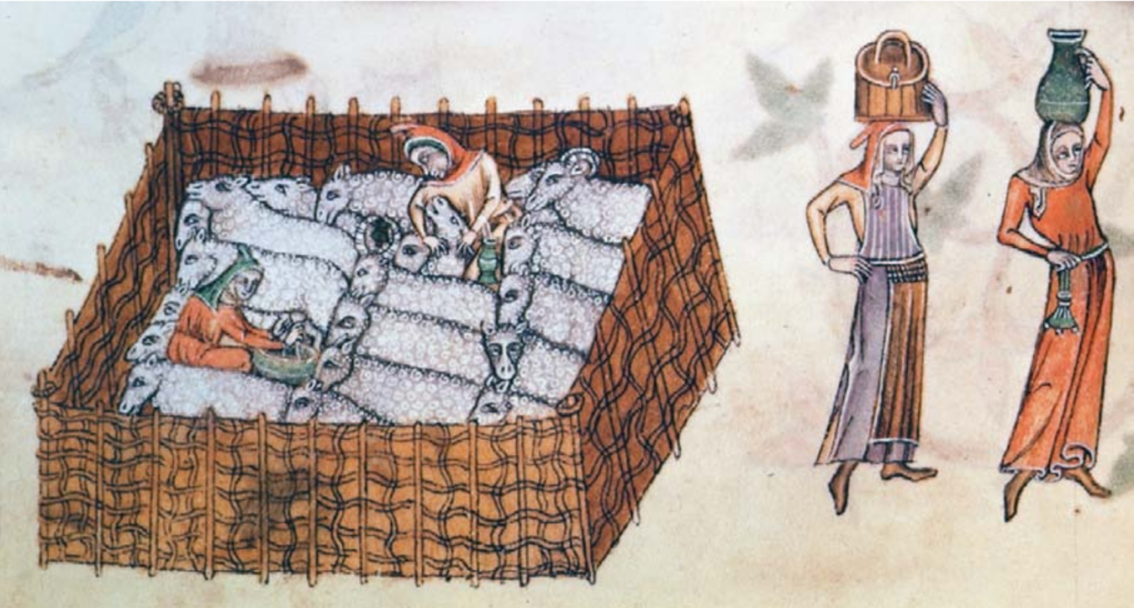 a medieval illustration of farmers with sheep in wattle sheep pen and two peasants with jars standing outside to the right