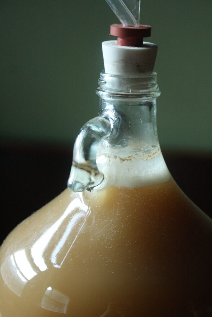 Gruit bubbling in a glass fermenter