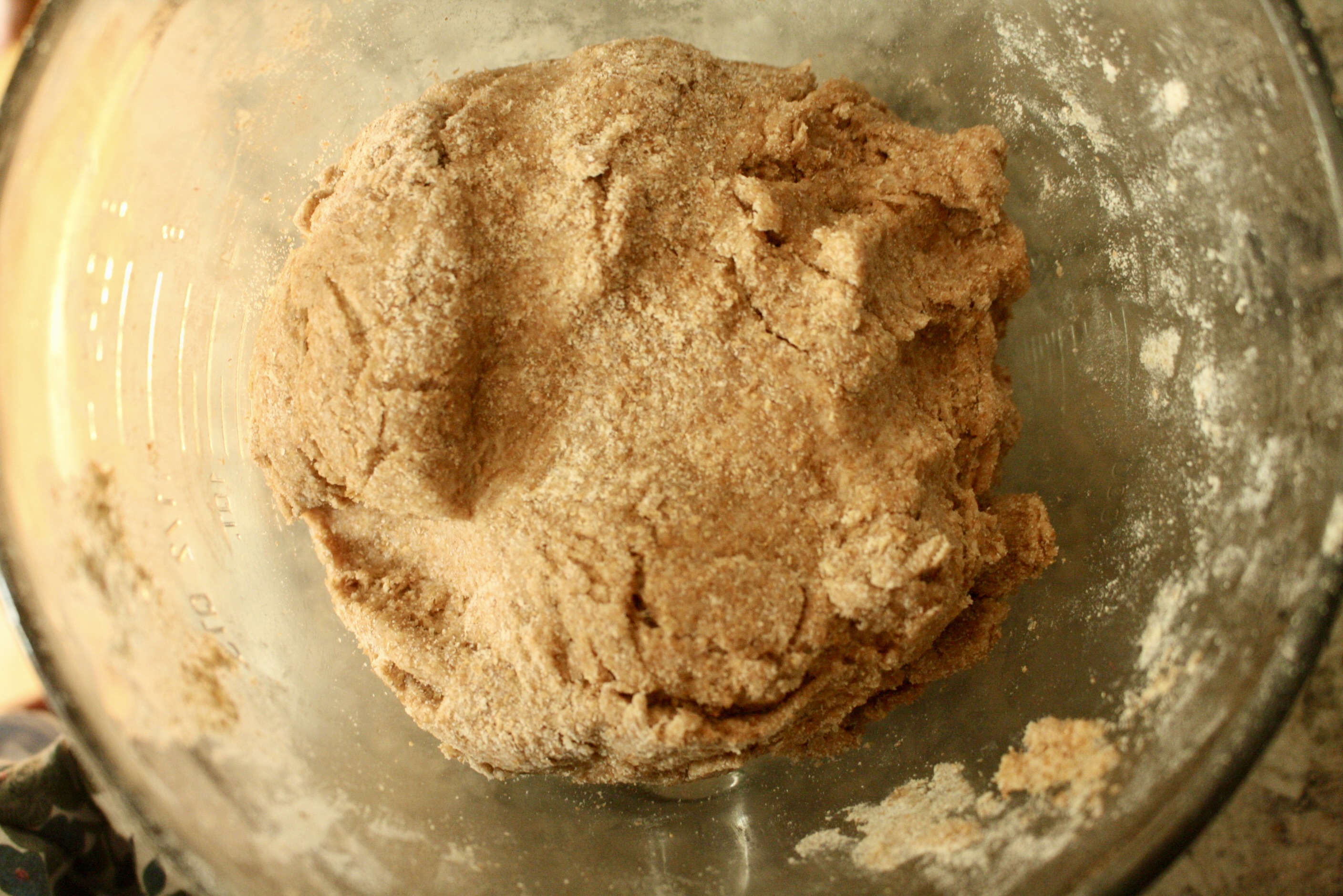 ball of dough made with lard in a glass bowl