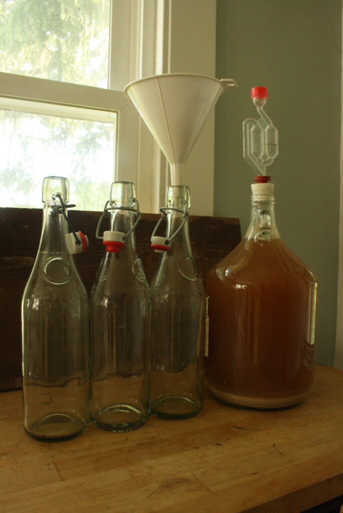 three empty glass flip-top bottles next to a gallon glass jug with an airlock filled with gruit 