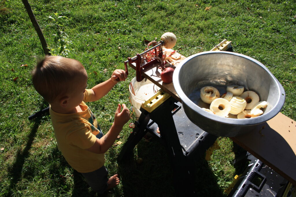 boy peeling apple with an apple slicer mounted on a board on two sawhorses  with a large metal bowl filled with apple slices