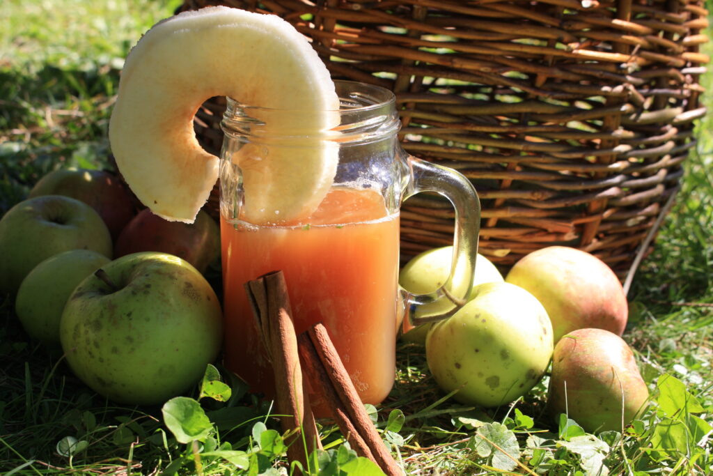 apples, a clear glass of apple juice with an apple slice and cinnamon sticks sitting on the grass in front of a willow basket