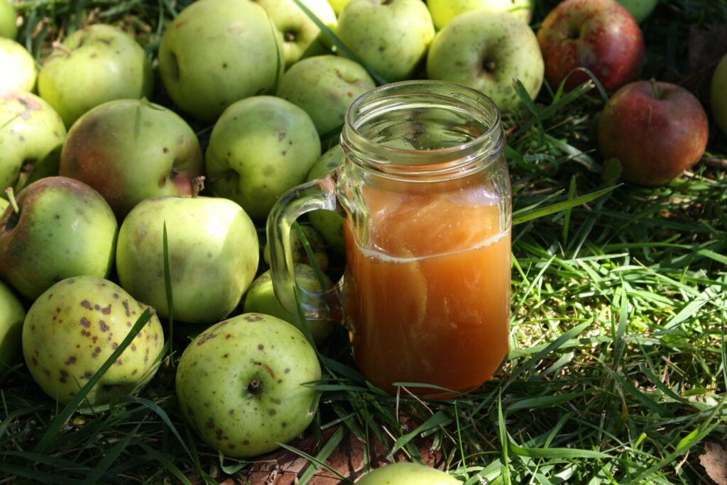 a glass mug of apple cider sitting on the grass next to a pile of green and red apples