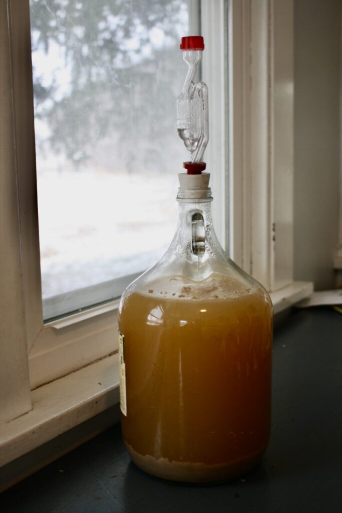 a glass jug of apple cider with an airlock fermenting on a table next to a window