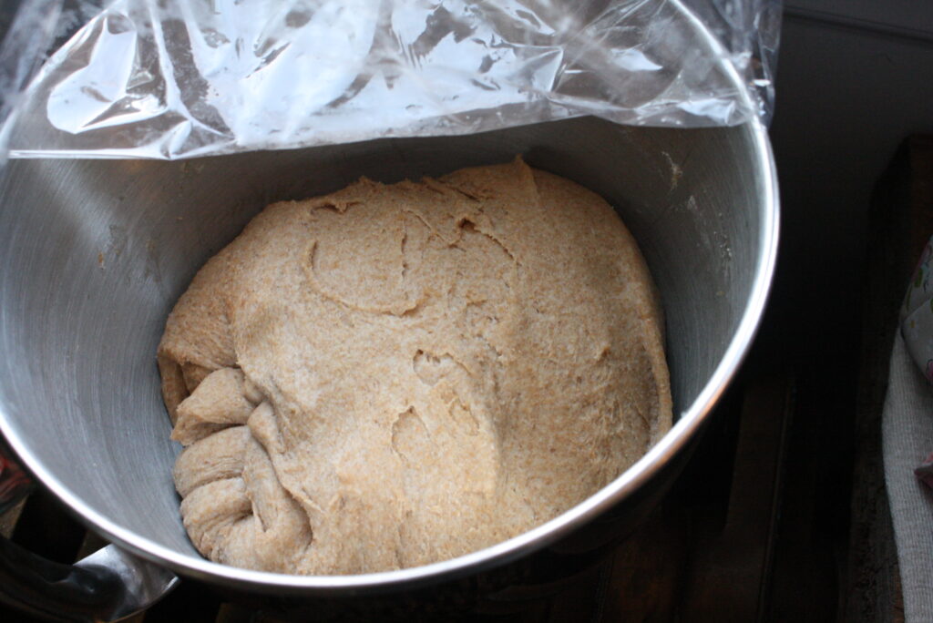 pasty dough in a stainless steel bowl with plastic wrap on top