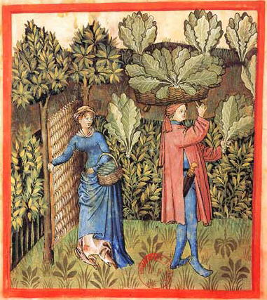 a woman and a man carrying cabbage harvest.  the woman has her hand on a wattle gate and the man has a basket on his head full of produce.