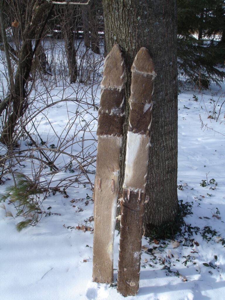 two skis with fur-clad bottoms leaning up against a tree in a snowy landscape.