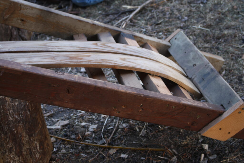 wooden skis braced in a form