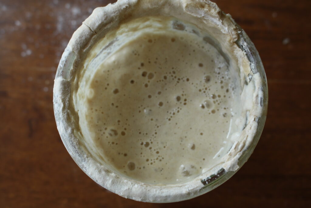 a jar of active and bubbly sourdough starter